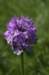 _igp4289_small.jpg
