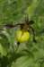 _igp4357_small.jpg
