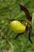 _igp4359_small.jpg