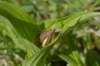_igp4360_small.jpg