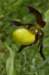 _igp4361_small.jpg