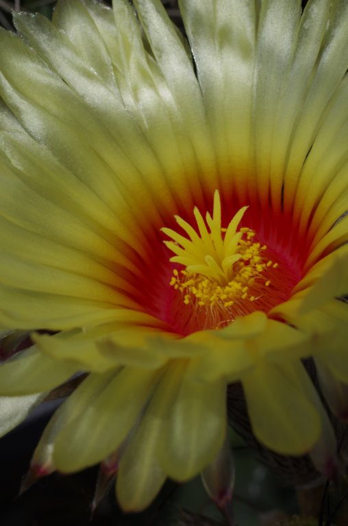 _igp7430.jpg