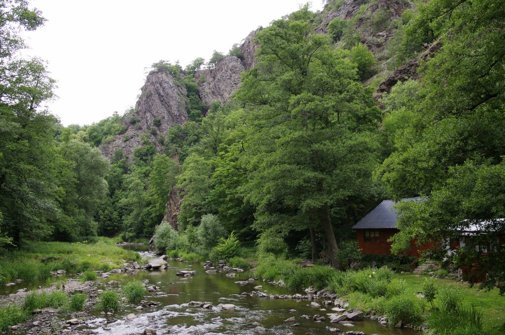 _igp7324.jpg