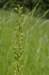 _igp5818_small.jpg