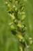 _igp5824_small.jpg