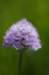 _igp5841_small.jpg
