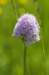 _igp5857_small.jpg