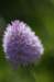 _igp5862_small.jpg