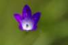 _igp5868_small.jpg