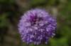 _igp5882_small.jpg