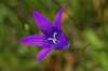 _igp5887_small.jpg
