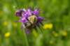 _igp5897_small.jpg