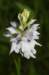 _igp5942_small.jpg