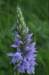 _igp5960_small.jpg