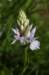 _igp5971_small.jpg