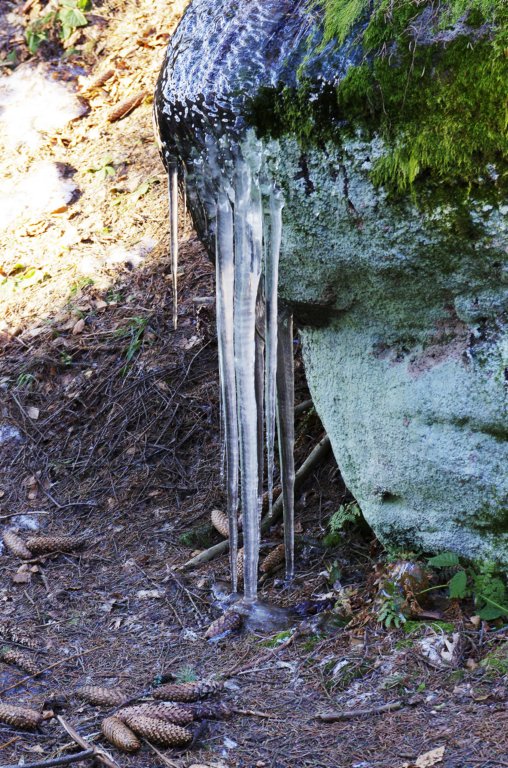 _igp2690.jpg