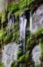 _igp2695_small.jpg