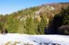 _igp2717_small.jpg