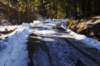 _igp2724_small.jpg