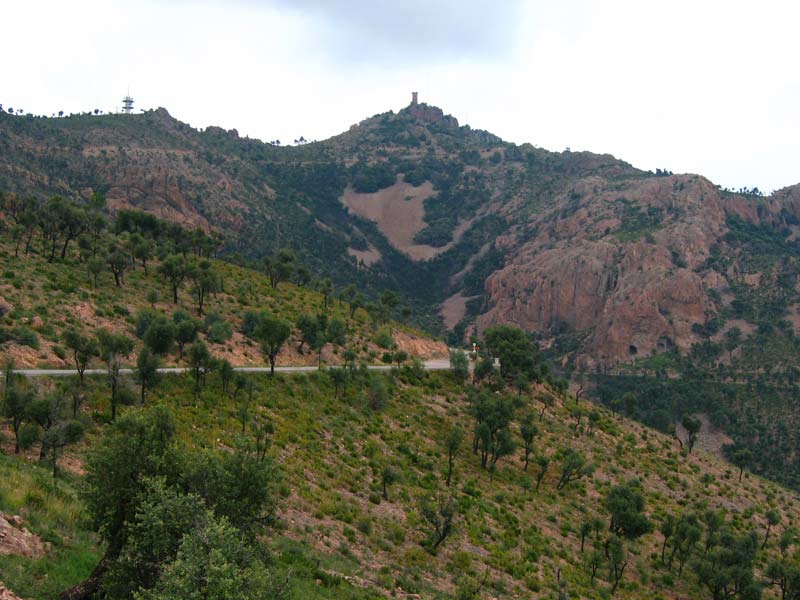 Massif de l'Esterel - Mont Vinaigre (F)