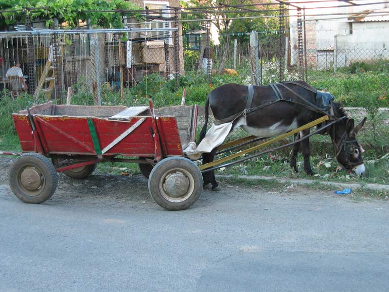 Černomorec (BG)