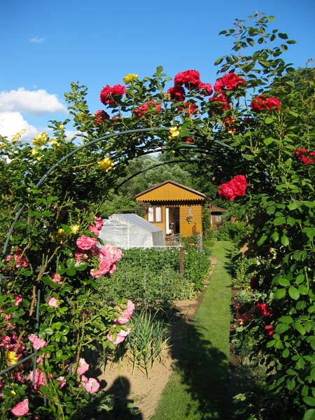 Zahrádka rodičů / Parents' garden