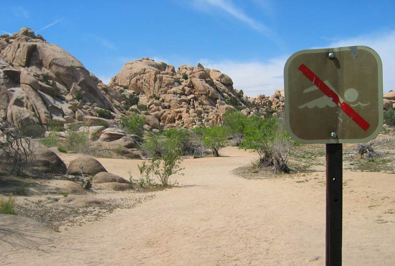 Joshua Tree (California, USA)