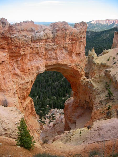 Bryce Canyon – Natural Bridge (Utah, USA)