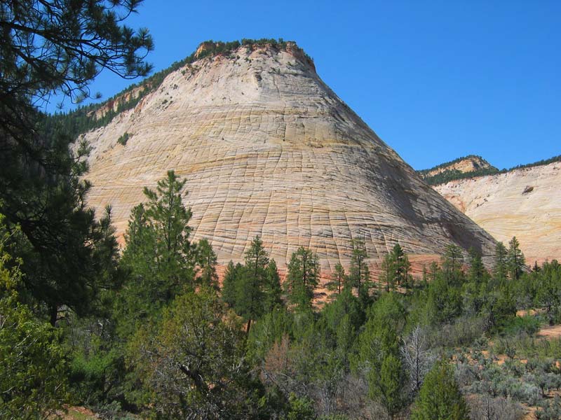 Zion National Park – Checkerboard Mesa (Utah, USA)