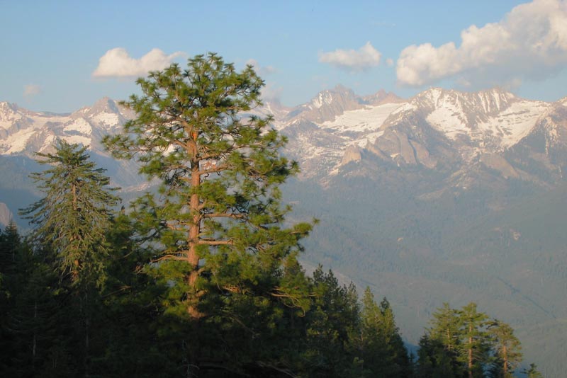 Sequoia – výhled na pohoří Sierra Nevada z Moro Rock (California, USA) / Sequoia – a view of Sierra Nevada mountains from Moro Rock (California, USA)