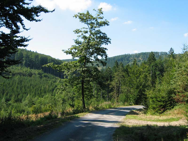 Kopce nad Zašovou / The hills above Zašová