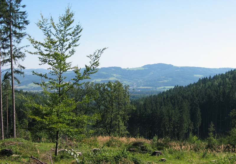 Kopce nad Zašovou / The hills above Zašová